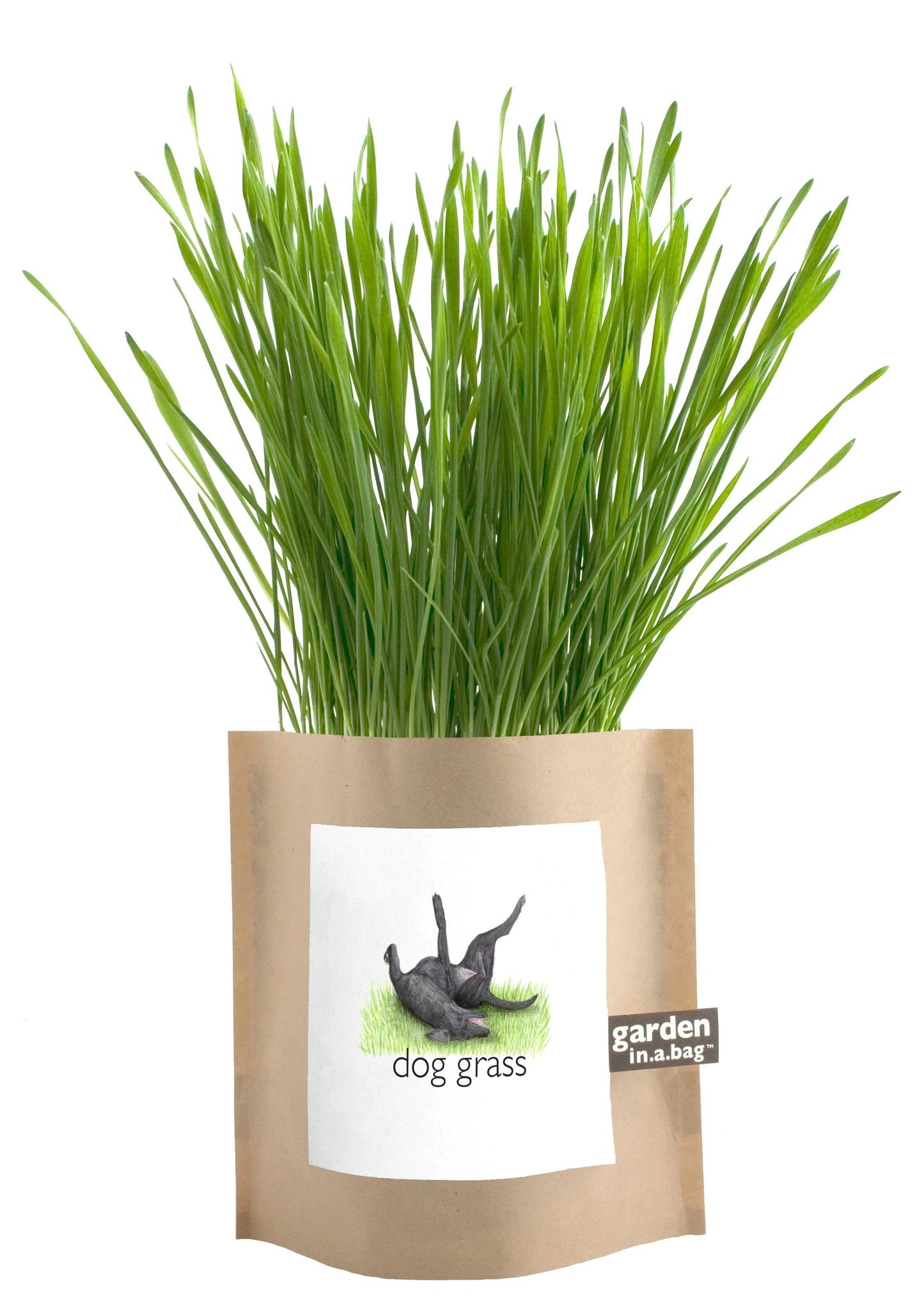 🐶🌱Garden in a Bag | Dog Grass | Spring Pet Treat Gift
