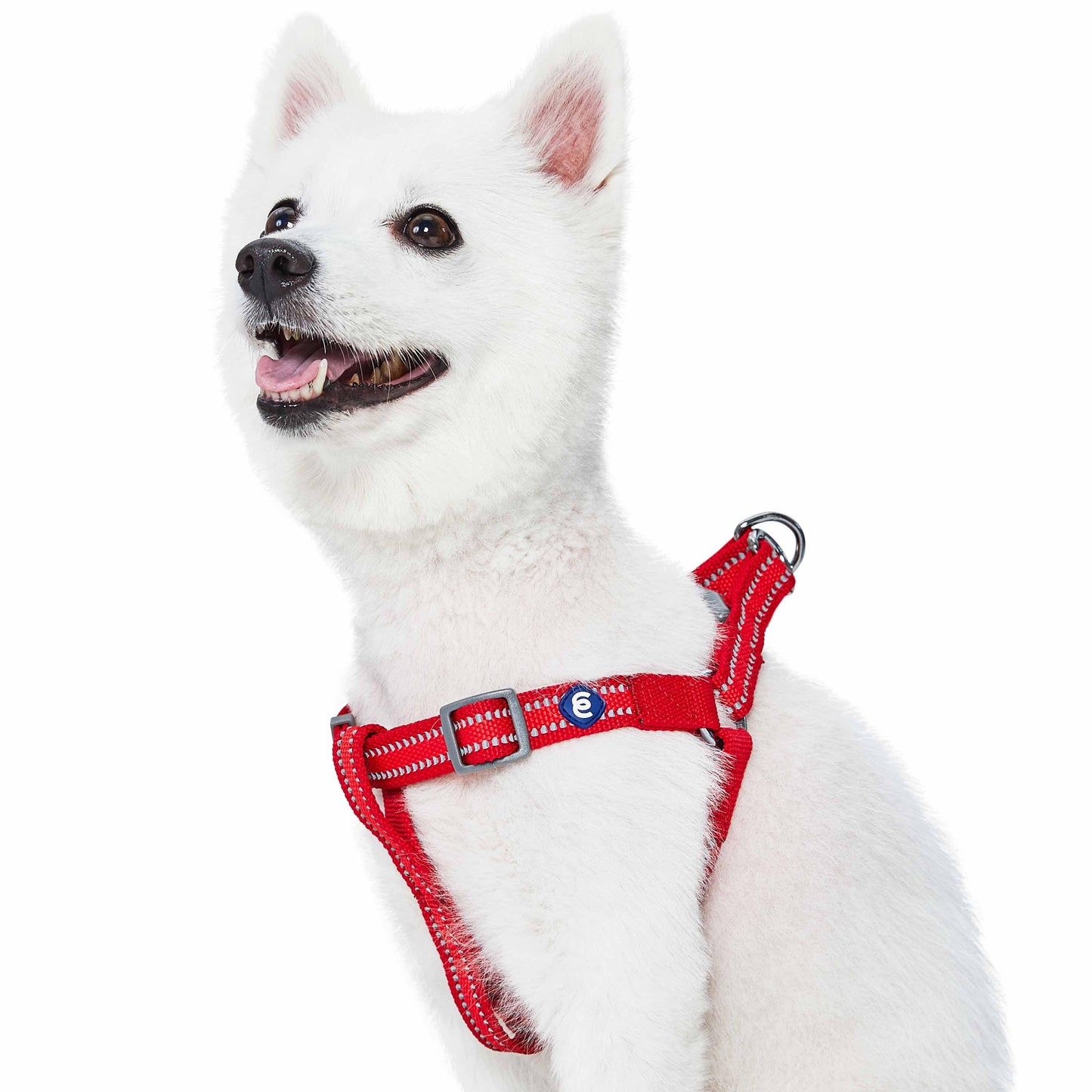 🌙🐾Better Basics Reflective Dog Harness