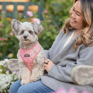 Petal Paws Floral Dog Harness Vest