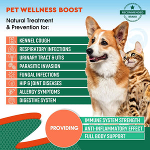 Herbal Antibiotics for Cats & Dogs