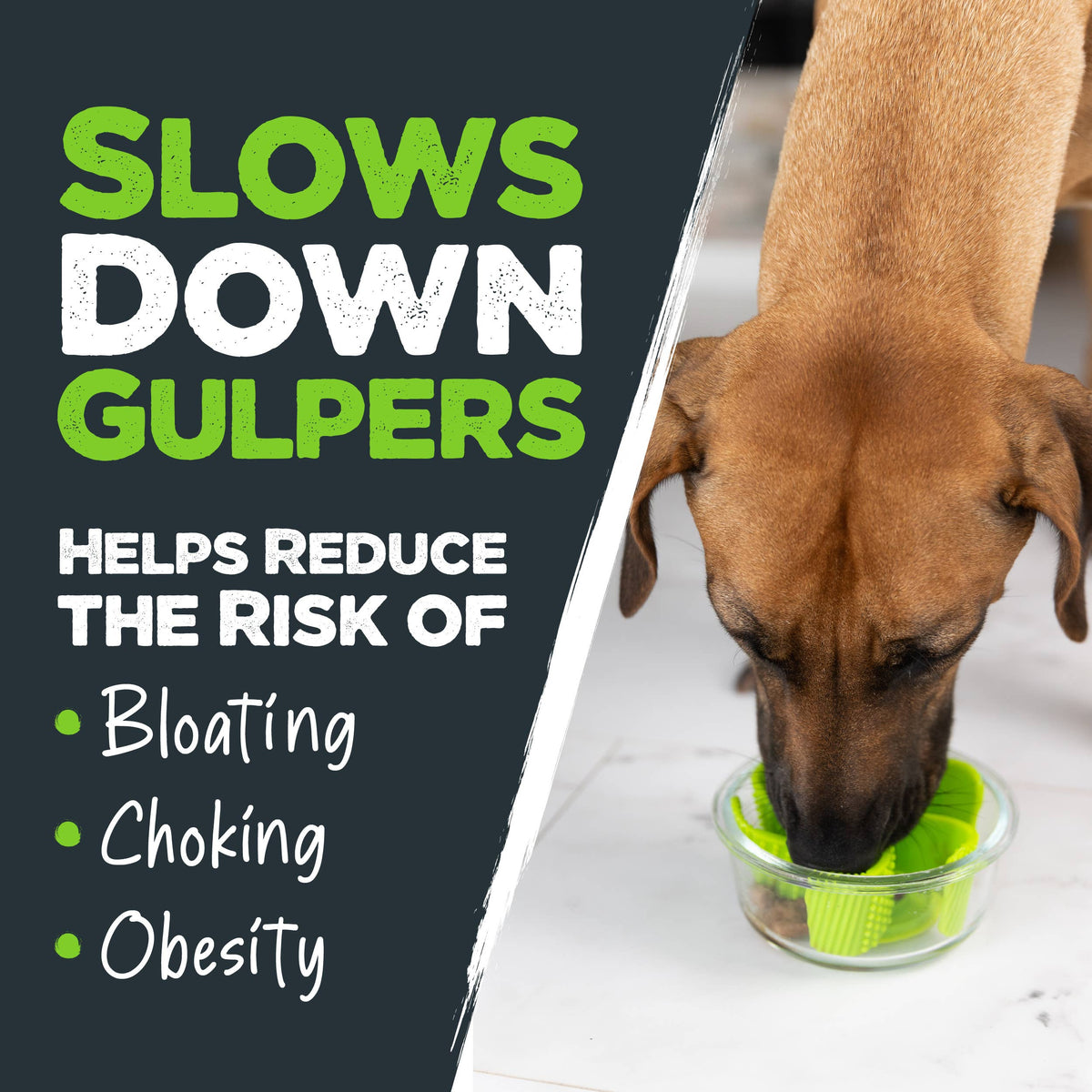 Interactive Silicone Slow Feeder Bowl Insert for Dogs 🐶🥣