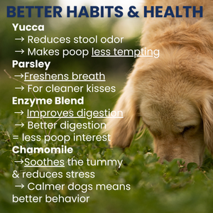 Poop Eating Deterrent Chew