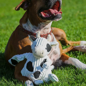 Dottie Cow Knottie® Plush Dog Toy