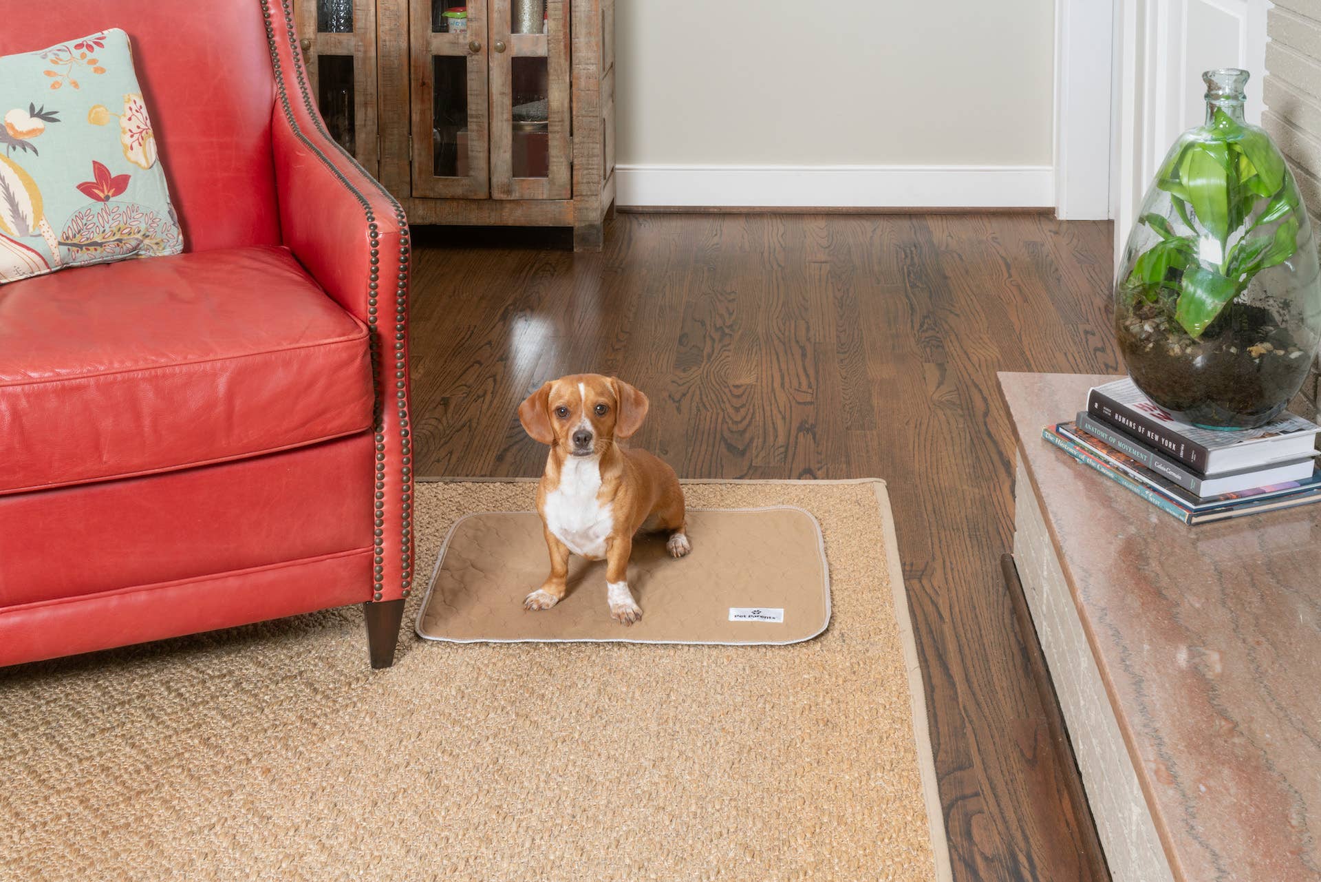 Pawtect® Pads Premium Washable Dog Pee Pads