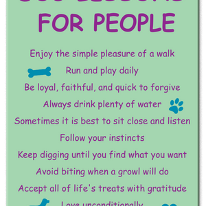 Rectangle Magnet - Dog Lessons For People