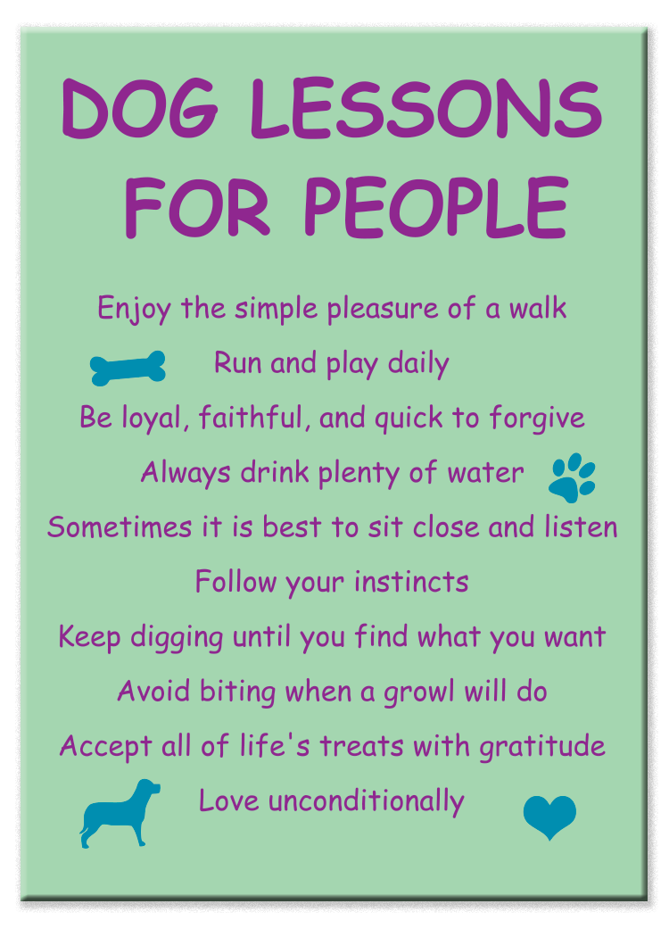 Rectangle Magnet - Dog Lessons For People