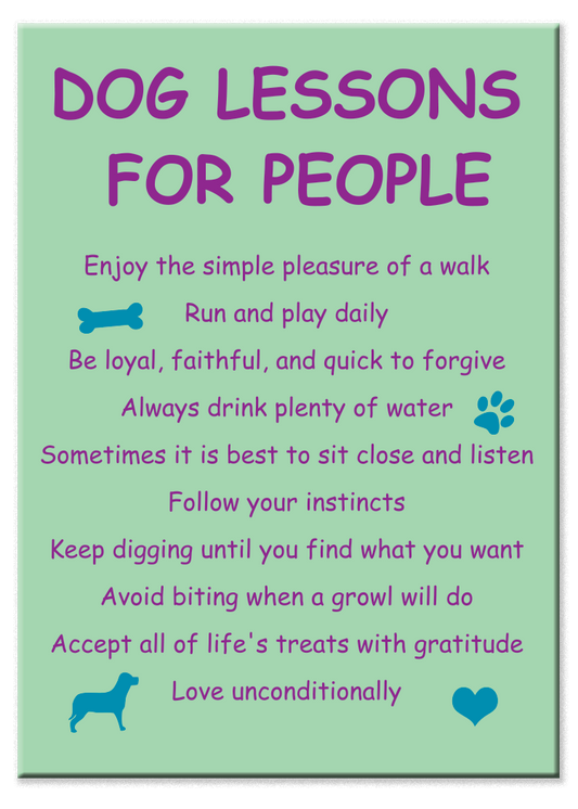 Rectangle Magnet - Dog Lessons For People