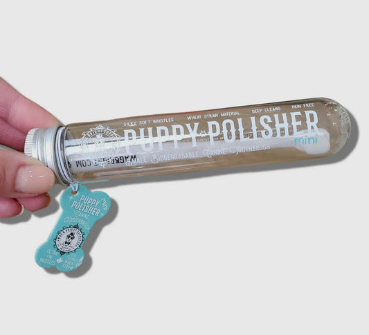 Puppy Polisher Mini Eco Toothbrush (Small)