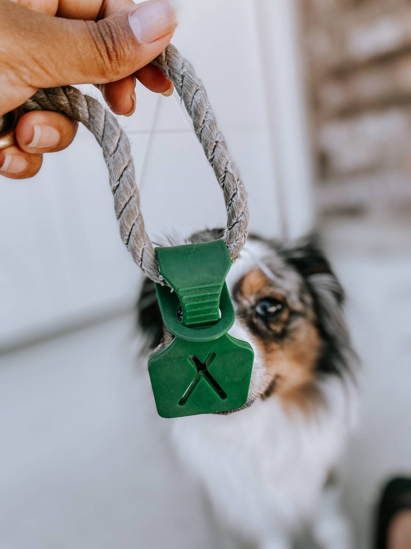 Poop Bag Carrier Attachment
