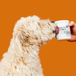 Digestive Enzymes with Probiotics