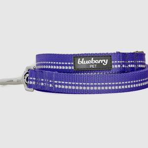 Spring Colors 3M Reflective Soft Padded Safety Leash