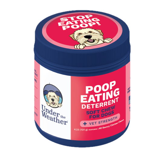 Poop Eating Deterrent Chew