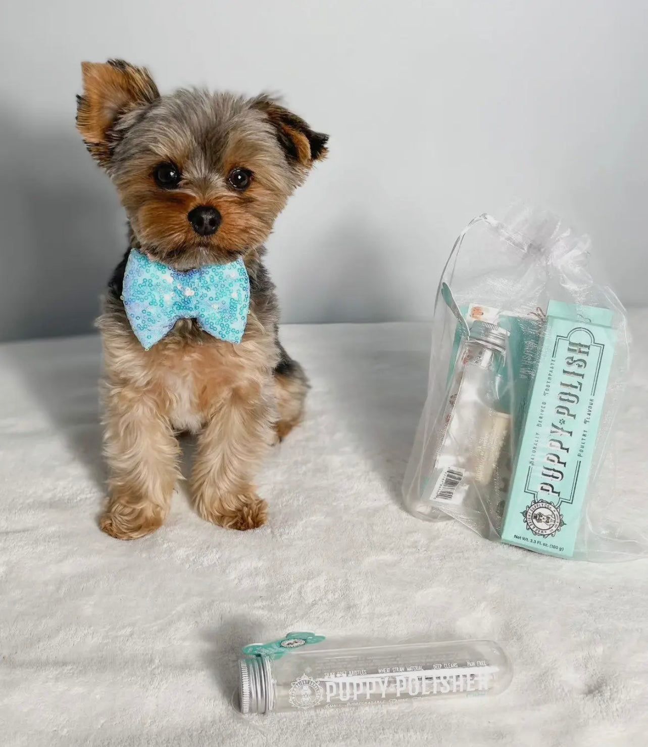 Puppy Polish Toothpaste - Filet Mignon (Beef)