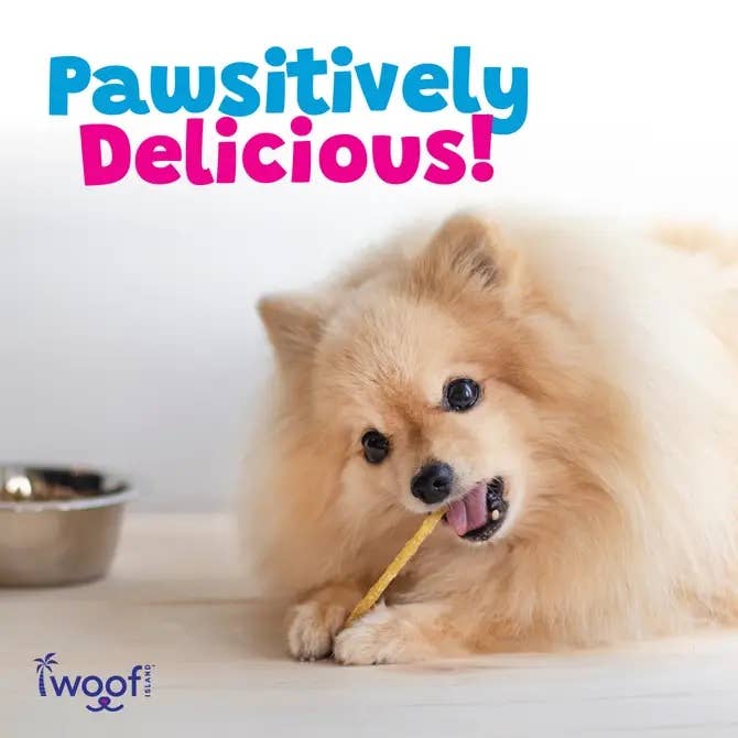 🥥🦴 Woof Island™ Coconut Twist Dog Chew – All-Natural Rawhide-Free Dog Chew