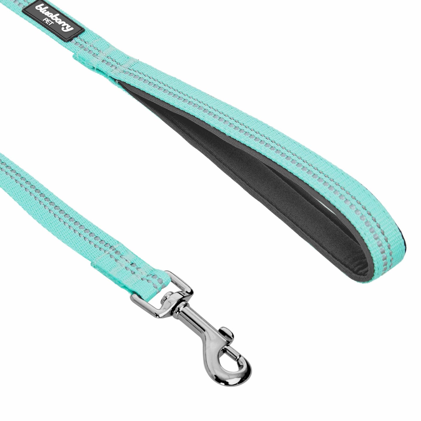🌸 Spring Colors Reflective Soft Padded Safety Dog Leash