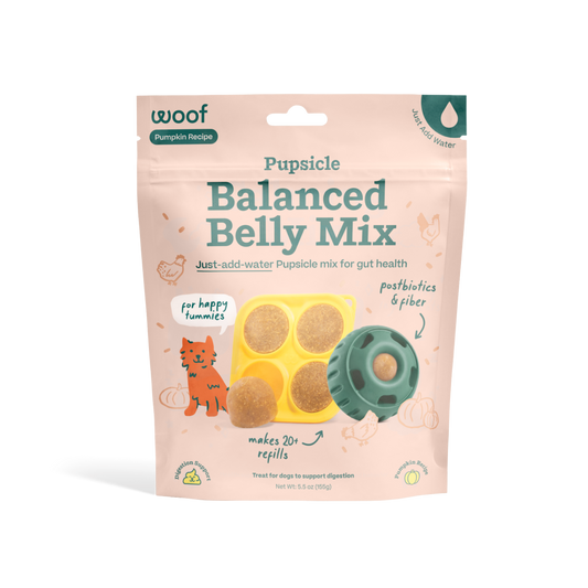 🧊🐾 Pupsicle® Treat Mix – Balanced Belly