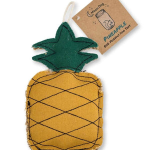 Eco-Friendly Pineapple