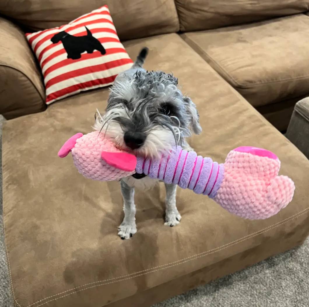 Piggy Plush Toy