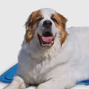Cool Pet Pad