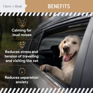 Anxiety + Stress Dog Peanut Butter Flavor