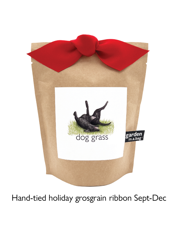 🐶🌱Garden in a Bag | Dog Grass | Spring Pet Treat Gift