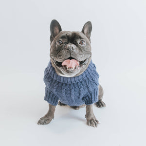 Dog Cable Knit Sweater - Navy