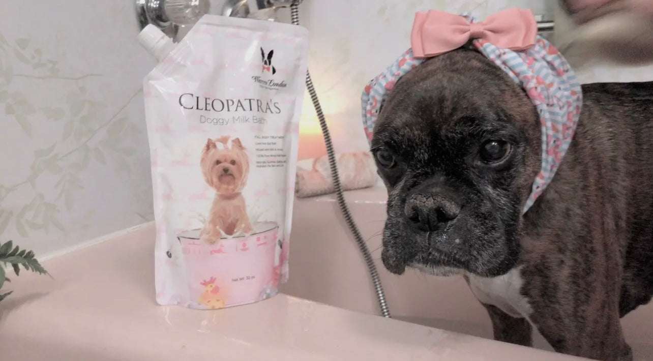 Cleopatra's Doggy Milk Bath