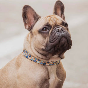 Braided Full Grain Leather Dog Collar