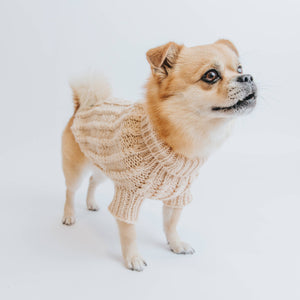 Dog Cable Knit Sweater - Beige