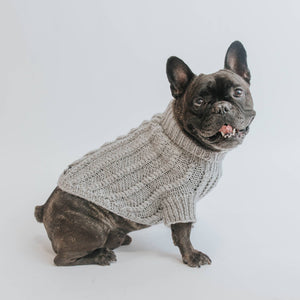Dog Cable Knit Sweater - Gray