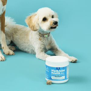 Hip & Joint Health Treats for Dogs