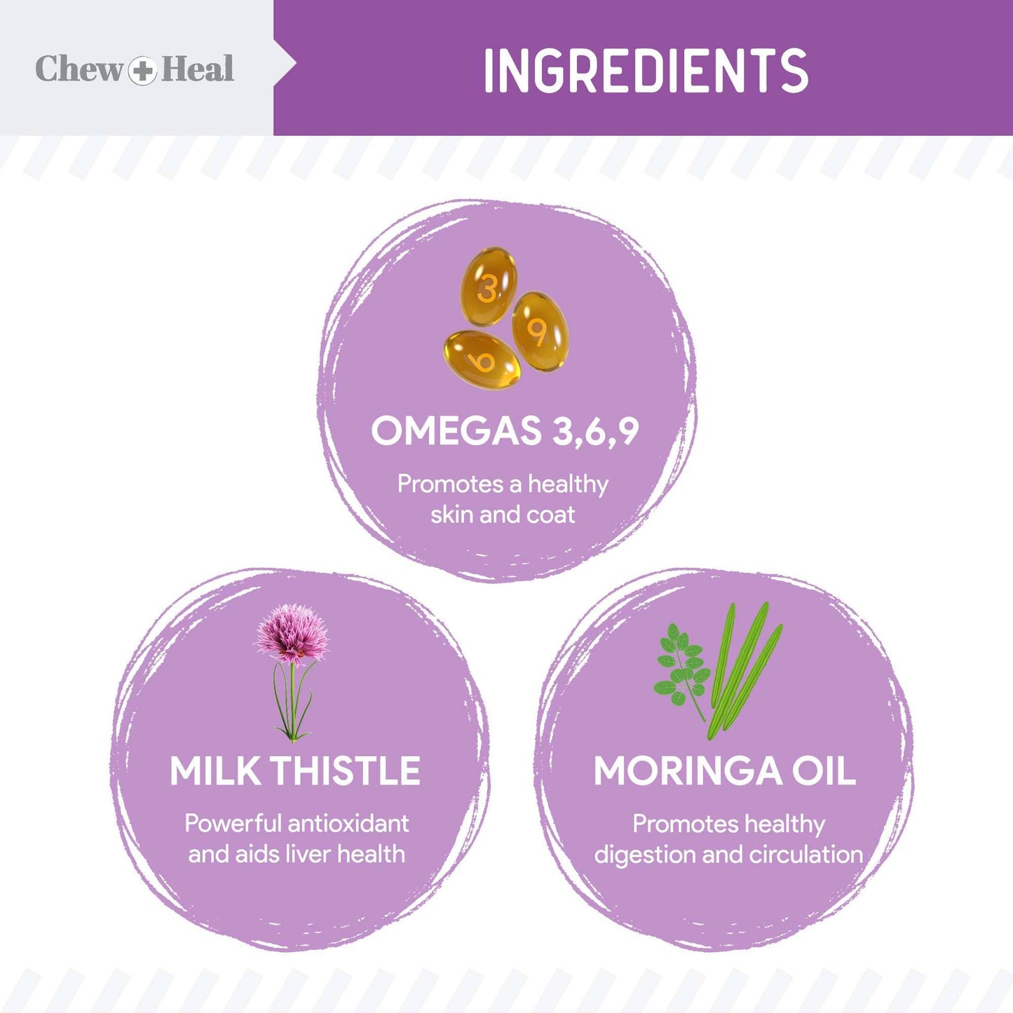 Milk Thistle Tincture for Dogs for Liver & Kidney Health