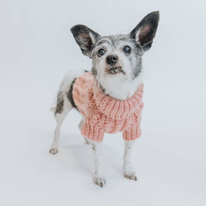 Dog Cable Knit Sweater - Pink