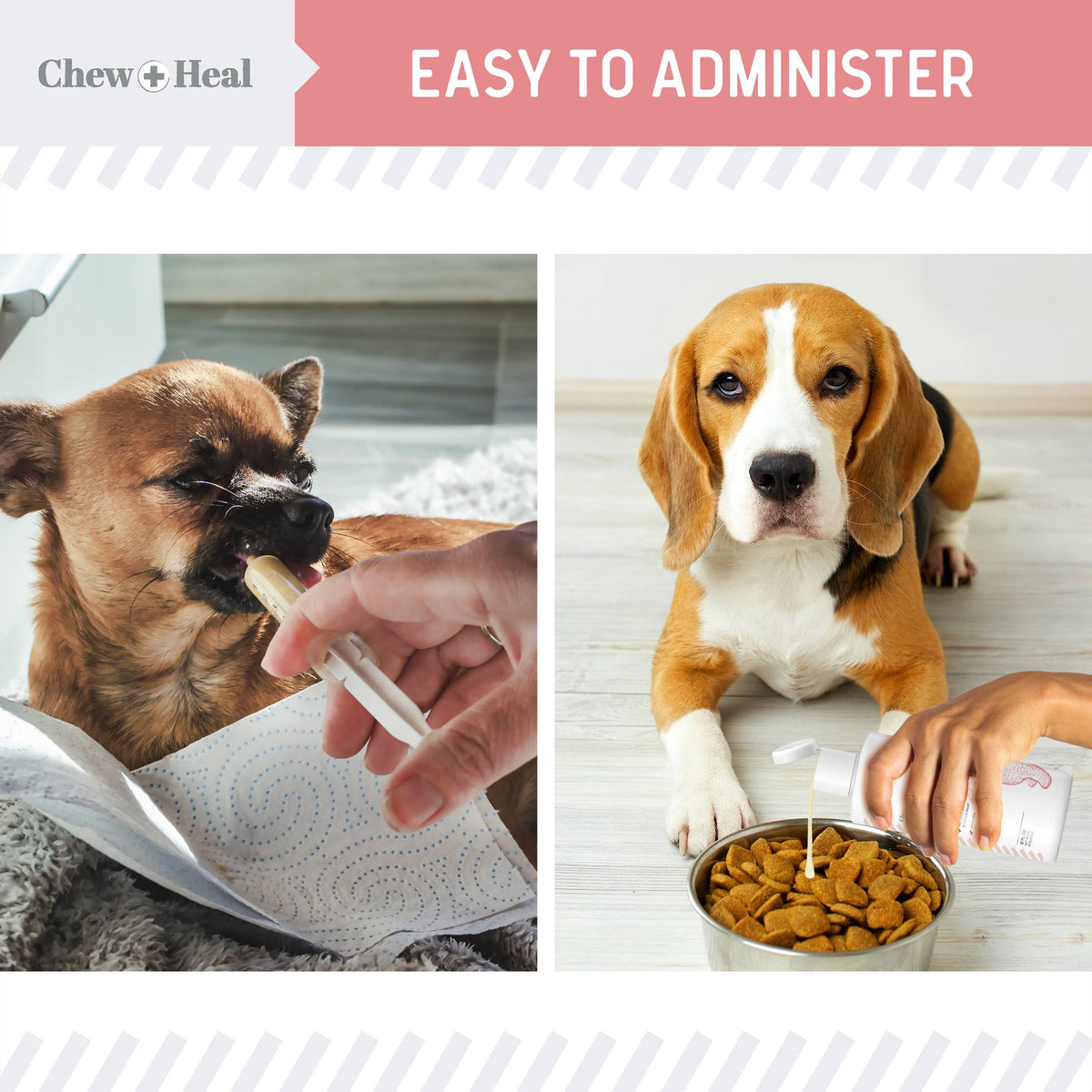 Stop the Diarrhea, Anti Diarrhea for Dogs