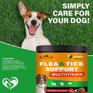Flea & Tick Chewable Pills for Dogs + Multivitamin