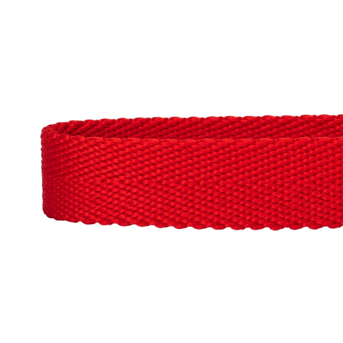 ✨ Dogs & Cats & Co. Double D-Ring Dog Collar 🐾