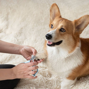 Ocean Plastic by PT Pet Nail Clipper Grooming Tool