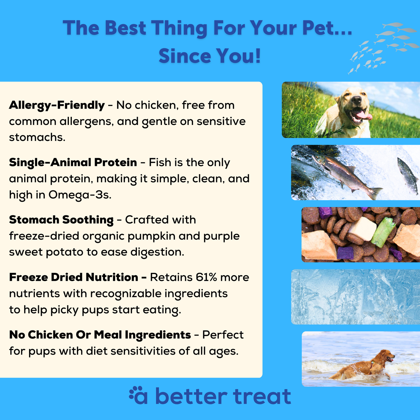 A Better Dog Food Allergy Friendly Ocean Blend - | No Chicken, Only Fish Animal Protein, No Meal Ingredients, Grain Free | Raw You Can See