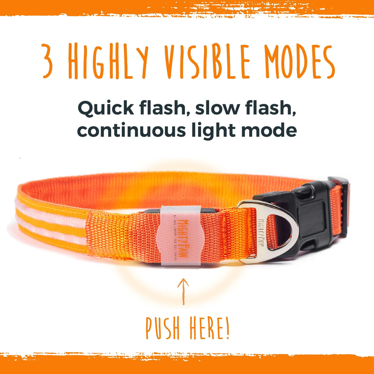 Weather-Resistant LED Dog Collar