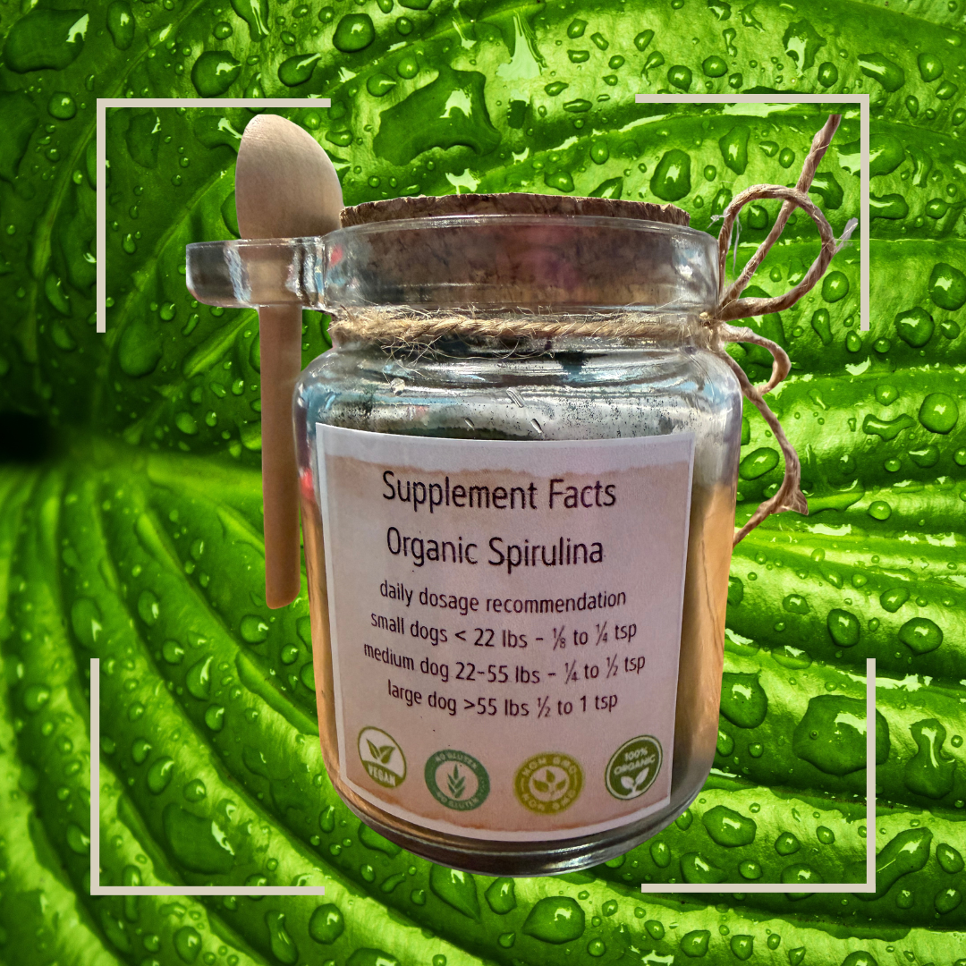 💚Organic Green Spirulina