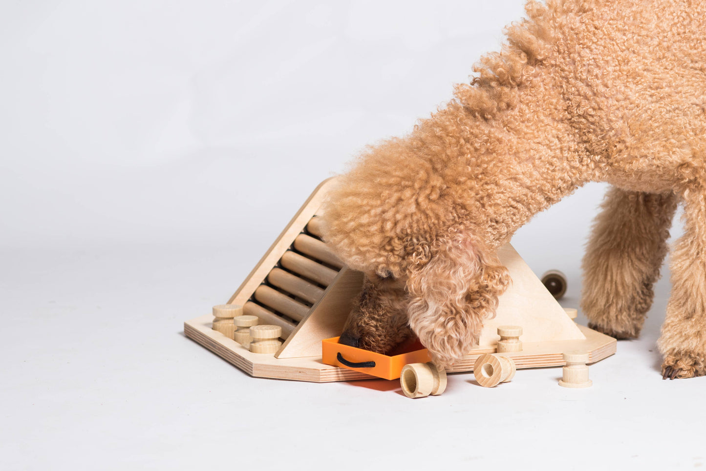 Pyramid - Dog Game