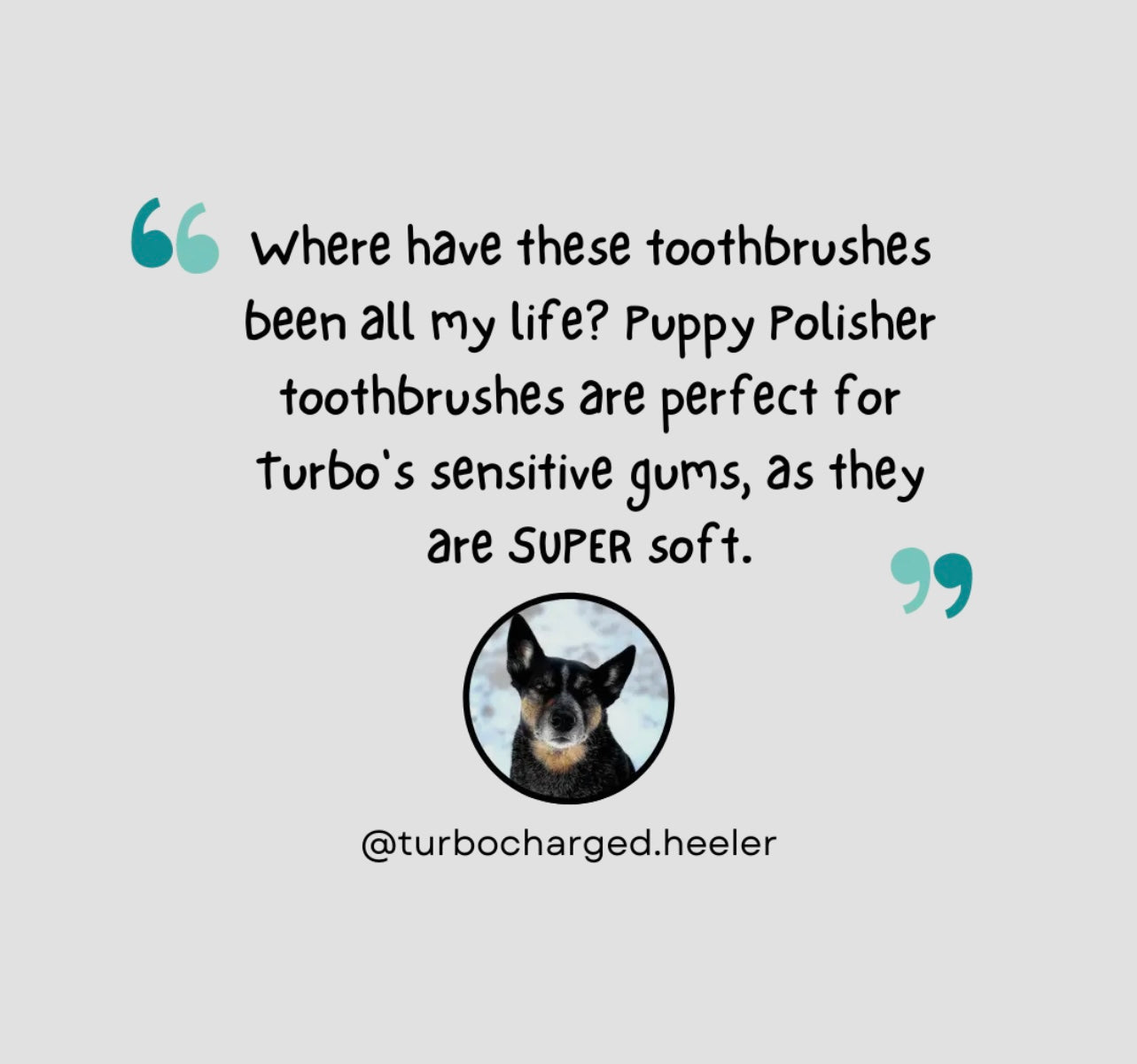 Puppy Polisher Eco Toothbrush - (Medium)