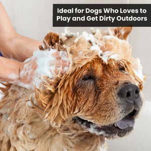 Mandarin Ginger Shampoo 13.5oz