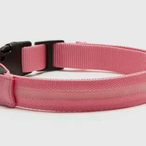 Led Safety Light-Up Dog Collar
