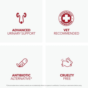 Cranberry Urinary Support Powder for Dogs & Cats