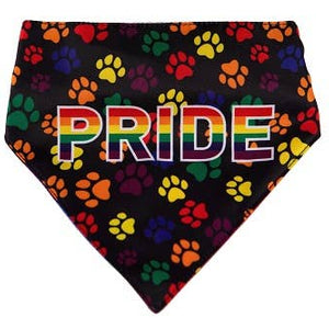 🌈🐾 HIP DOGGIE PRIDE Dog Bandana