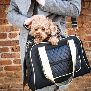 Airline Approved Mystique Fashion Pet Carrier
