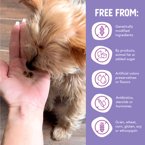 Grain Free Salmon Sweet Potato