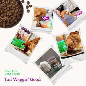 Grain Free Duck, Veg, Berries