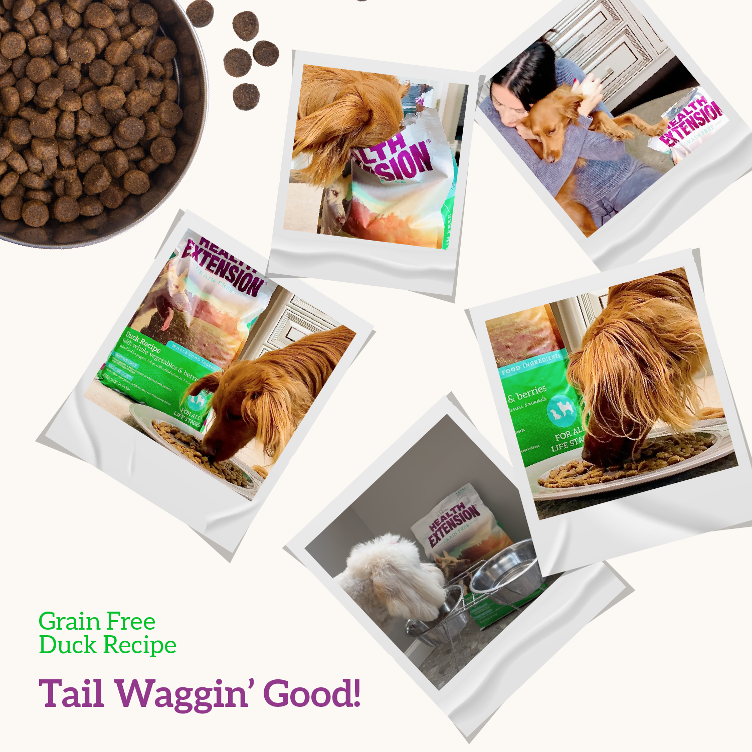 Grain Free Duck, Veg, Berries